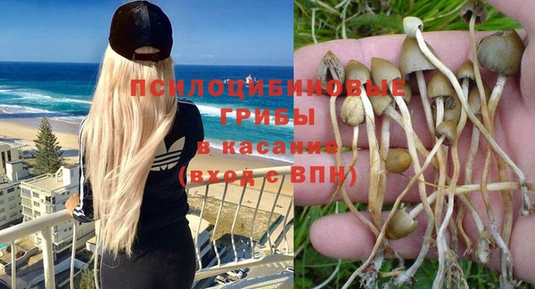 apvp Горняк