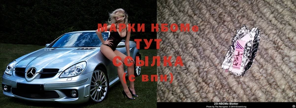 apvp Горняк