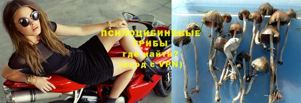 ГАЛЛЮЦИНОГЕННЫЕ ГРИБЫ Горнозаводск