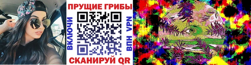 Псилоцибиновые грибы Psilocybe  блэк спрут зеркало  Кушва  хочу  
