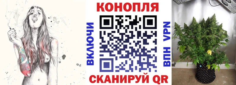 кракен зеркало  Кушва  Шишки марихуана White Widow 